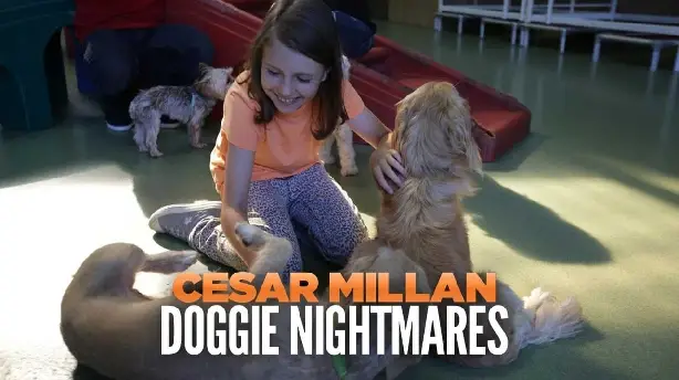 Cesar Millan: Doggie Nightmares Screenshot