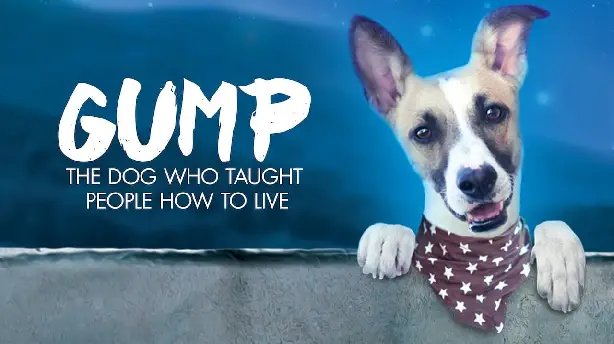 Gump – pes, který naučil lidi žít Screenshot