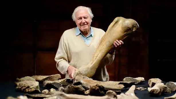 David Attenborough und der Mammut-Friedhof Screenshot