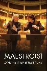 Maestro(s) - Zwei Meister eines Fachs Screenshot