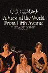 A View of the World from Fifth Avenue Screenshot