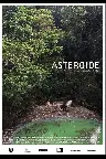 Asteroide Screenshot