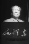 毛沢東--その生涯と文化大革命-- Screenshot