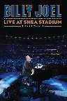 Billy Joel: Live at Shea Stadium Screenshot