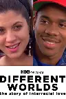 Different Worlds: An Interracial Love Story Screenshot