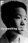 Liu Awaiting Spring Screenshot