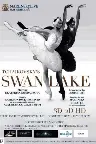 Swan Lake 3D - Live from the Mariinsky Theatre Screenshot