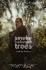 Smoke Between Trees Screenshot