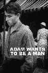 Adam wants to be a man Screenshot
