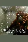 Orangutans: The Great Ape Escape Screenshot
