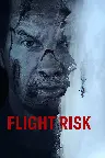 Flight Risk Screenshot
