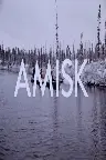 Amisk Screenshot