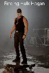 Finding Hulk Hogan Screenshot