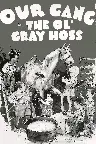 The Ol' Gray Hoss Screenshot
