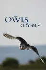 Owl's Odyssey Screenshot
