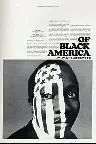 The Heritage of Slavery - Of Black America Screenshot