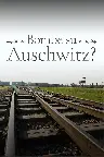1944: Bomben auf Auschwitz? Screenshot