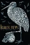 The Black Keys: Live At Austin City Limits Screenshot