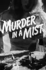 Murder in a Mist Screenshot