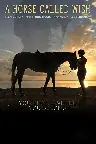A Horse Called Wish Screenshot