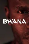 Bwana Screenshot