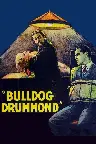 Bulldog Drummond Screenshot