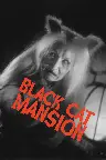 Black Cat Mansion Screenshot