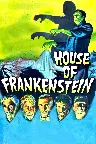 Frankensteins Haus Screenshot