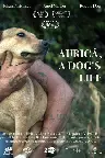 Aurică, viață de câine Screenshot