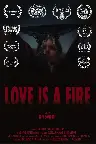 Love is a Fire Screenshot