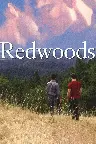 Redwoods Screenshot