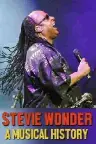 Stevie Wonder: A Musical History Screenshot