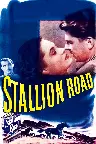 Stallion Road Screenshot