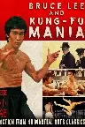 Bruce Lee and Kung Fu Mania Screenshot
