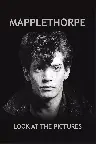 Mapplethorpe: Look at the Pictures Screenshot