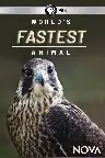 World's Fastest Animal Screenshot