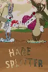 Hare Splitter Screenshot