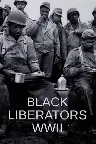 Black Liberators WWII Screenshot