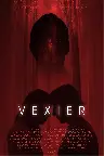 Vexier Screenshot