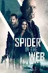 Spider In The Web Screenshot