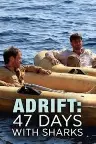 Adrift: 47 Days with Sharks Screenshot