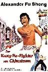 Der Kung Fu-Fighter von Chinatown Screenshot