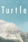 Turtle Screenshot