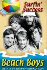 Beach Boys: Surfin' Success Screenshot