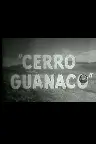 Cerro Guanaco Screenshot