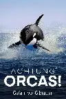 Achtung Orcas! Gefahr vor Gibraltar? Screenshot