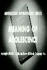 Meaning Of Adolescence Screenshot
