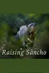 Raising Sancho Screenshot