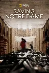 Saving Notre Dame Screenshot