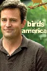 Birds of America Screenshot